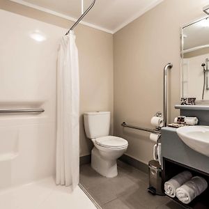 One-Bedroom King Suite
